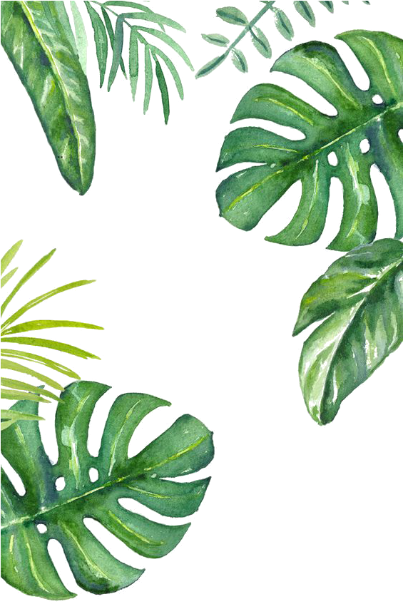 Tropical Watercolor Leaves Pattern