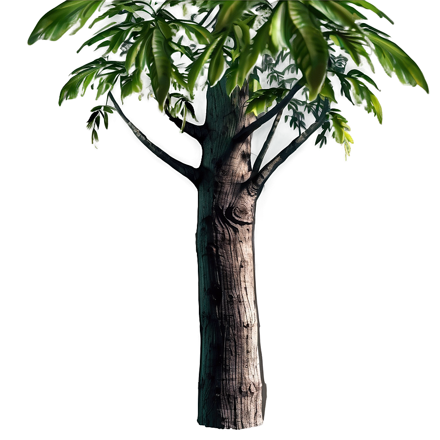 Trunk With Plants Png Loy76