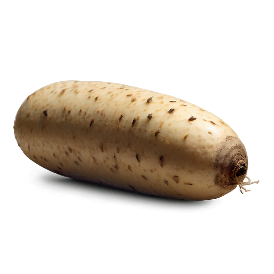 Tuber B