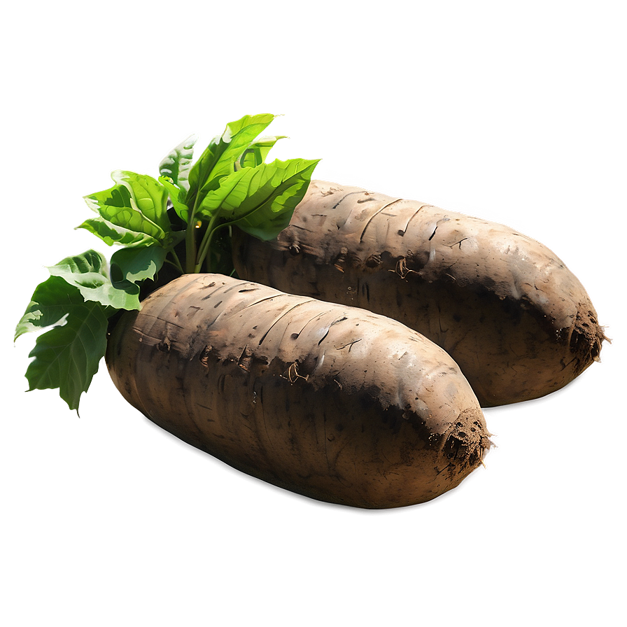 Tuber Farming Techniques Png 70