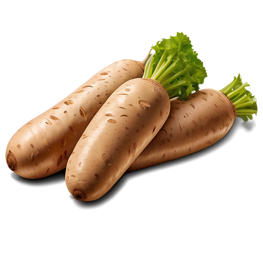 Tuber Vegetable Clipart Png 05252024