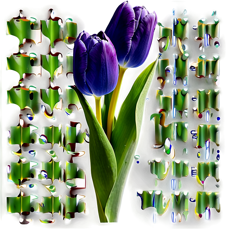 Tulip Arrangement Png Jiv45