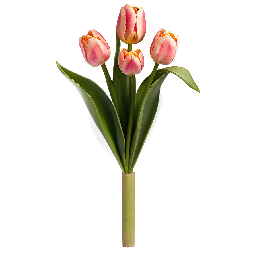 Tulip Flower Bush Png Eet7