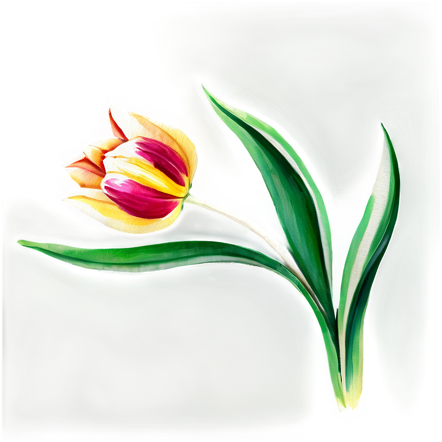 Tulip Watercolor Masterpiece Png 61