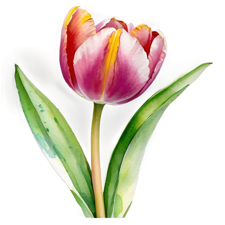 Tulip Watercolor Masterpiece Png Ape67