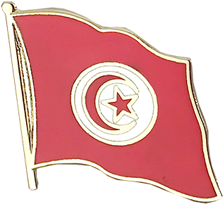 Tunisian Flag Pin