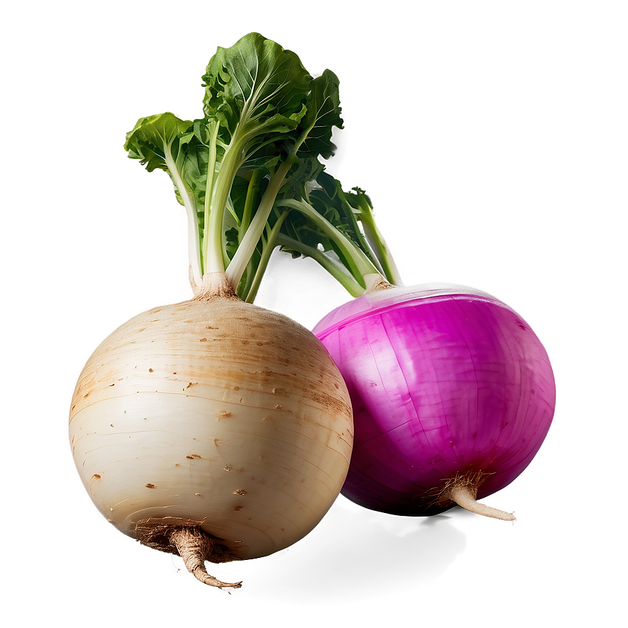 Turnip Decoration Png Obi39