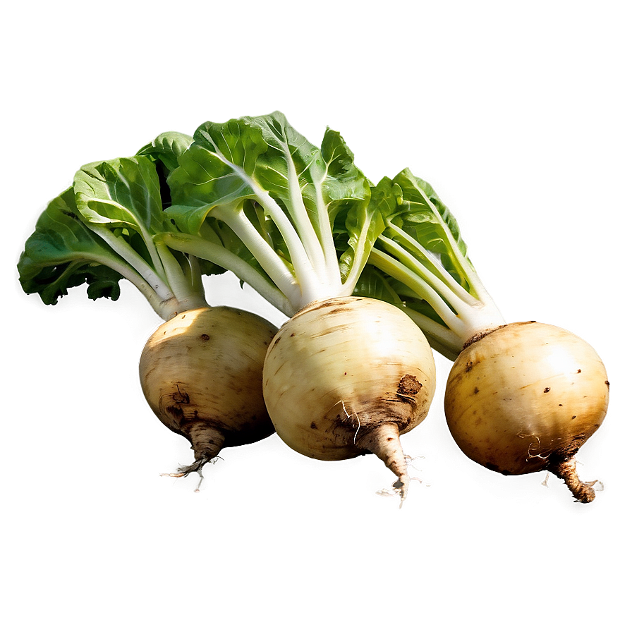 Turnip Field Png Pbs98