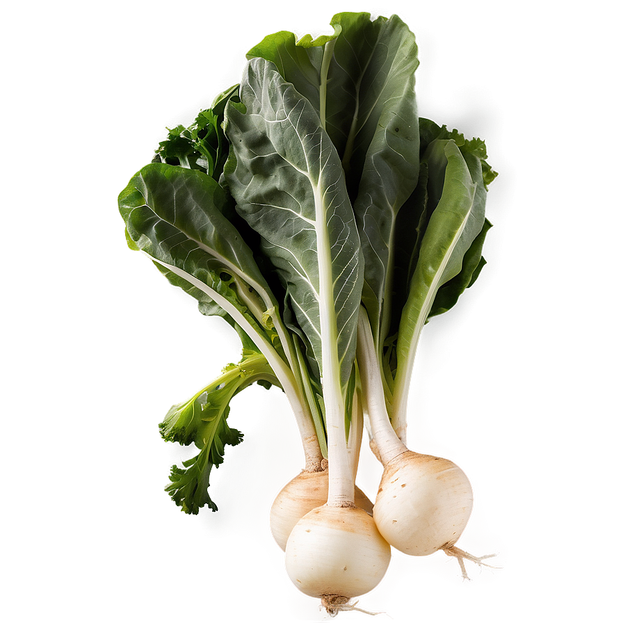 Turnip Greens Png 06252024