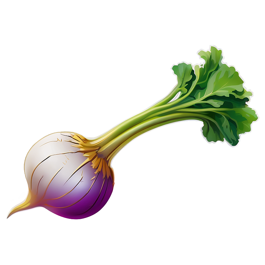 Turnip Icon Png Dci23