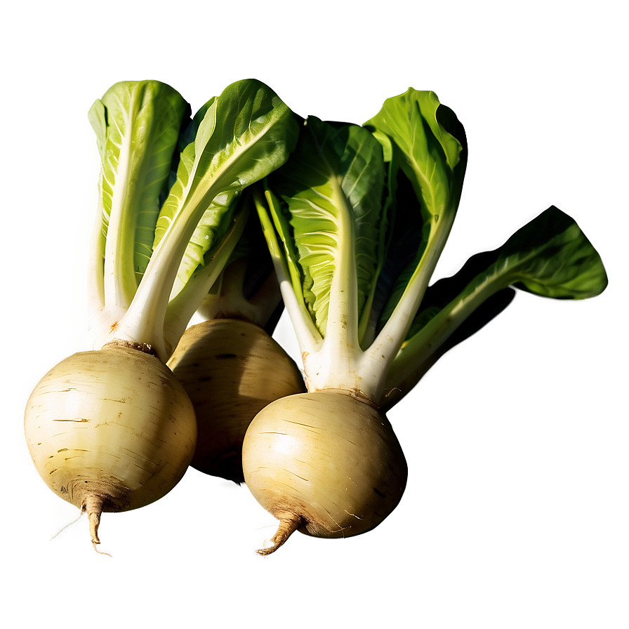 Turnip Snack Png Xaw