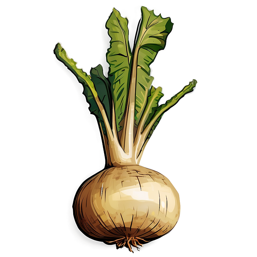 Turnip Storage Png 19