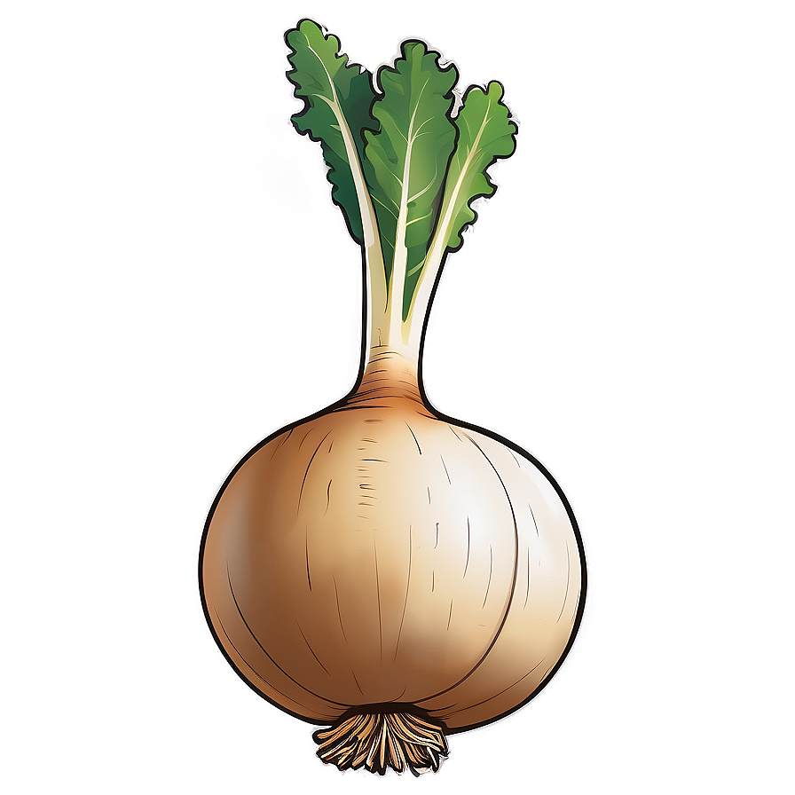 Turnip Vector Png Xpm26