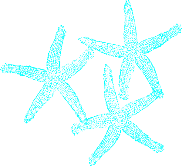 Turquoise Starfish Clipart