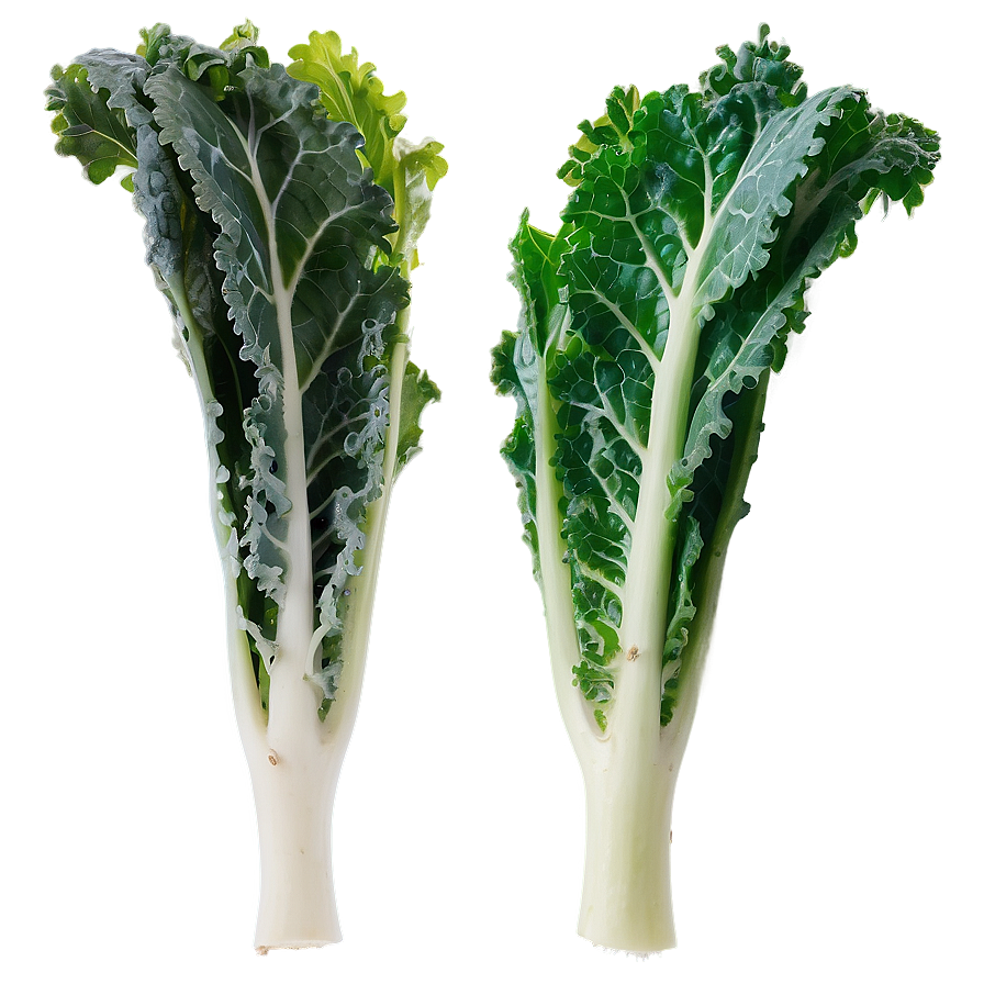 Tuscan Kale Png Axu12