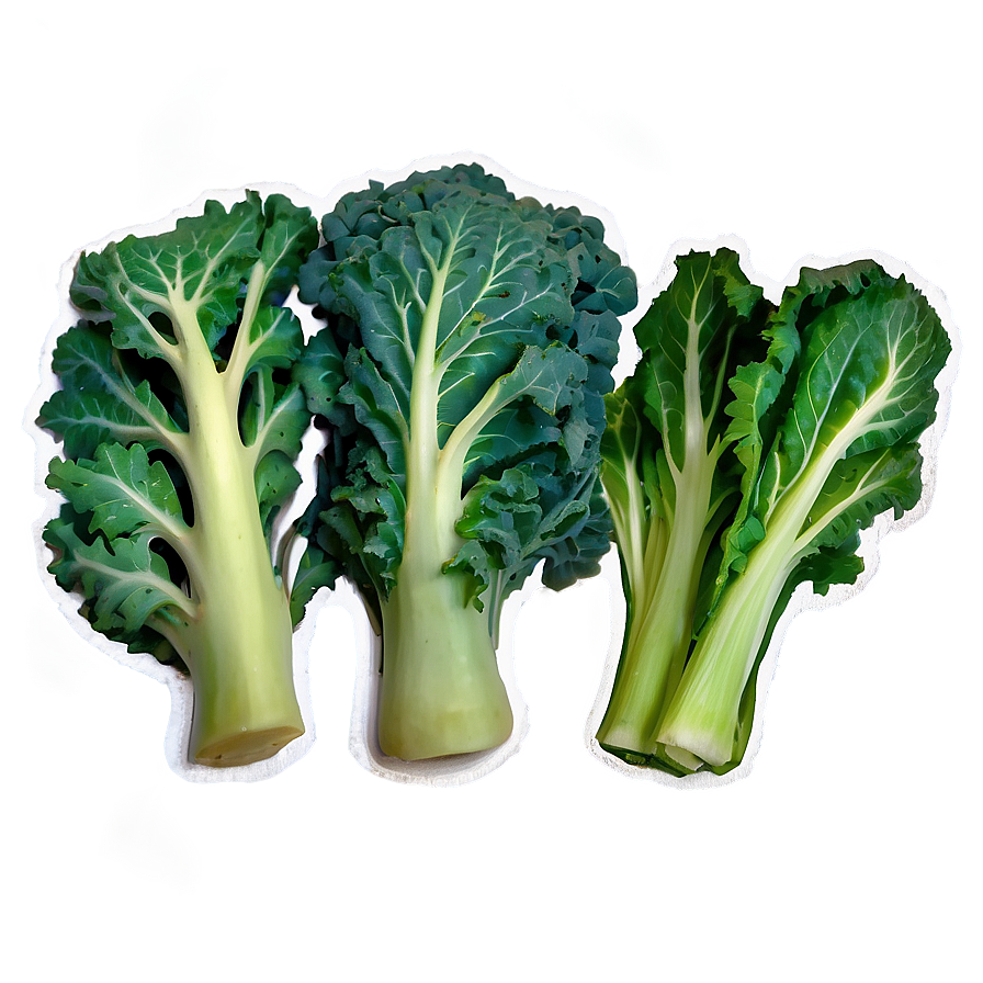 Tuscan Kale Png Iee57