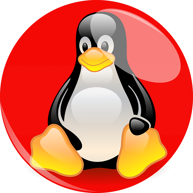 Tux Linux, HD Png Download PNG with transparent background