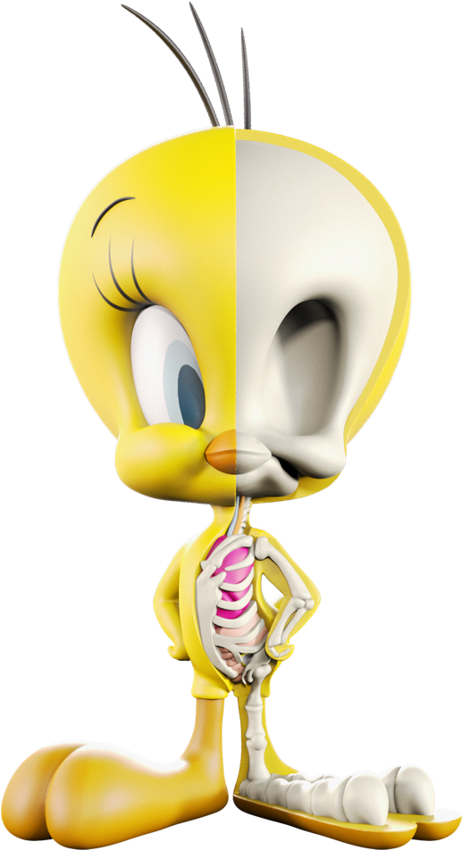 Tweety Half Skeleton Reveal