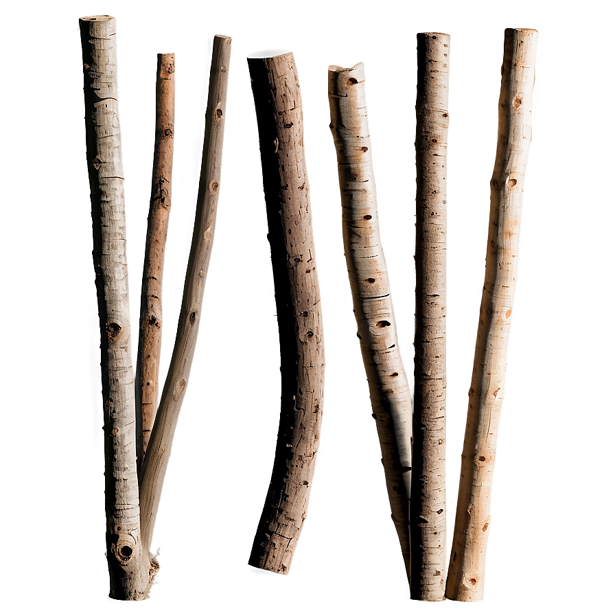 Twigs And Sticks Png 06132024