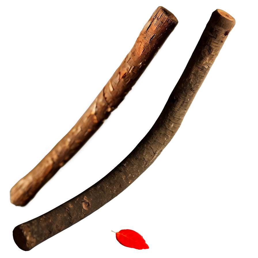 Twigs And Sticks Png Xdh