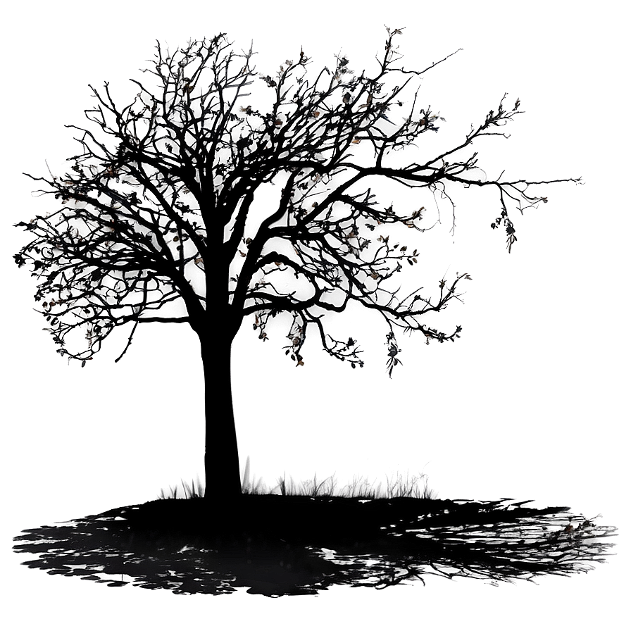 Twilight Tree Shadow Png Vdk