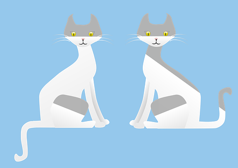 Twin Gray Cats Illustration PNG image with a transparent background, free high-resolution download
