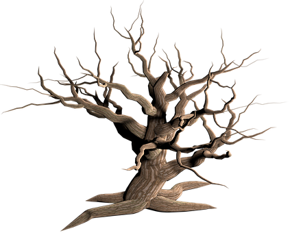 Twisted Bare Tree Black Background