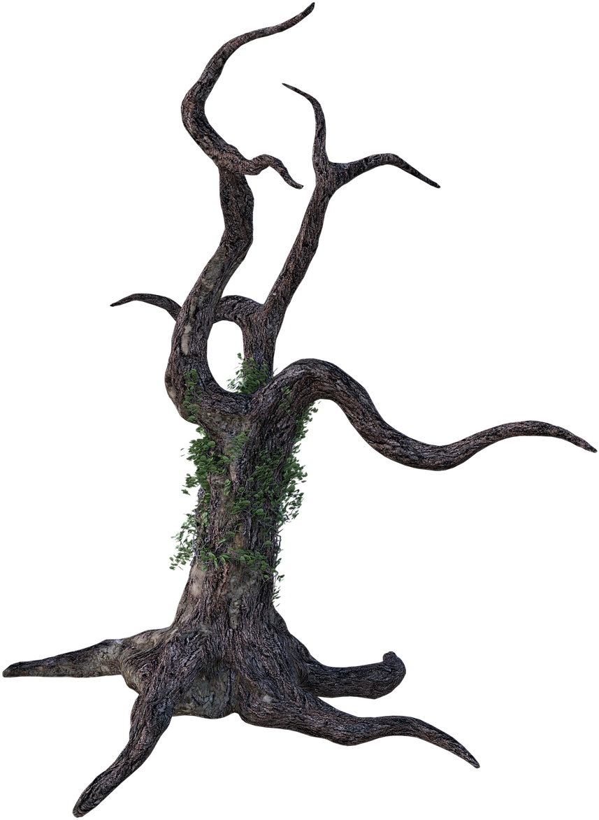 Dead Tree Png, Transparent Png PNG with transparent background