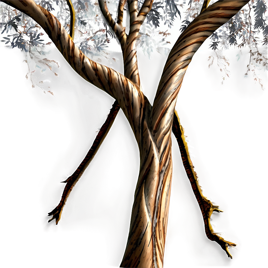 Twisted Tree Branch Png 05252024