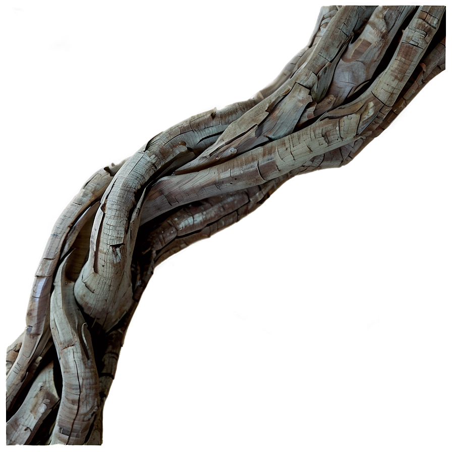 Twisted Tree Branch Png Wyw