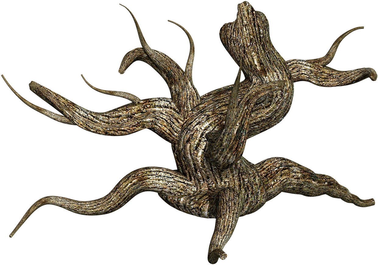 Twisted Tree Trunk Artwork