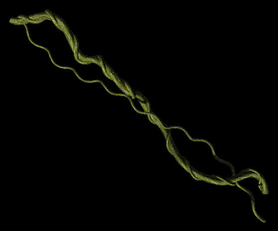 Twisting Green Vine Black Background PNG image with a transparent background, free high-resolution download