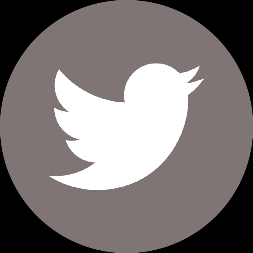 Twitter Icon Simple Design