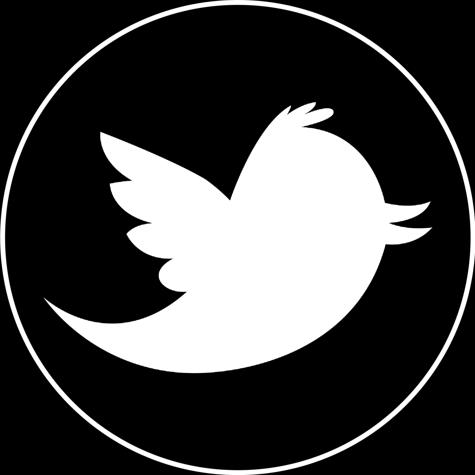 Twitter Logo Blackand White PNG with transparent background