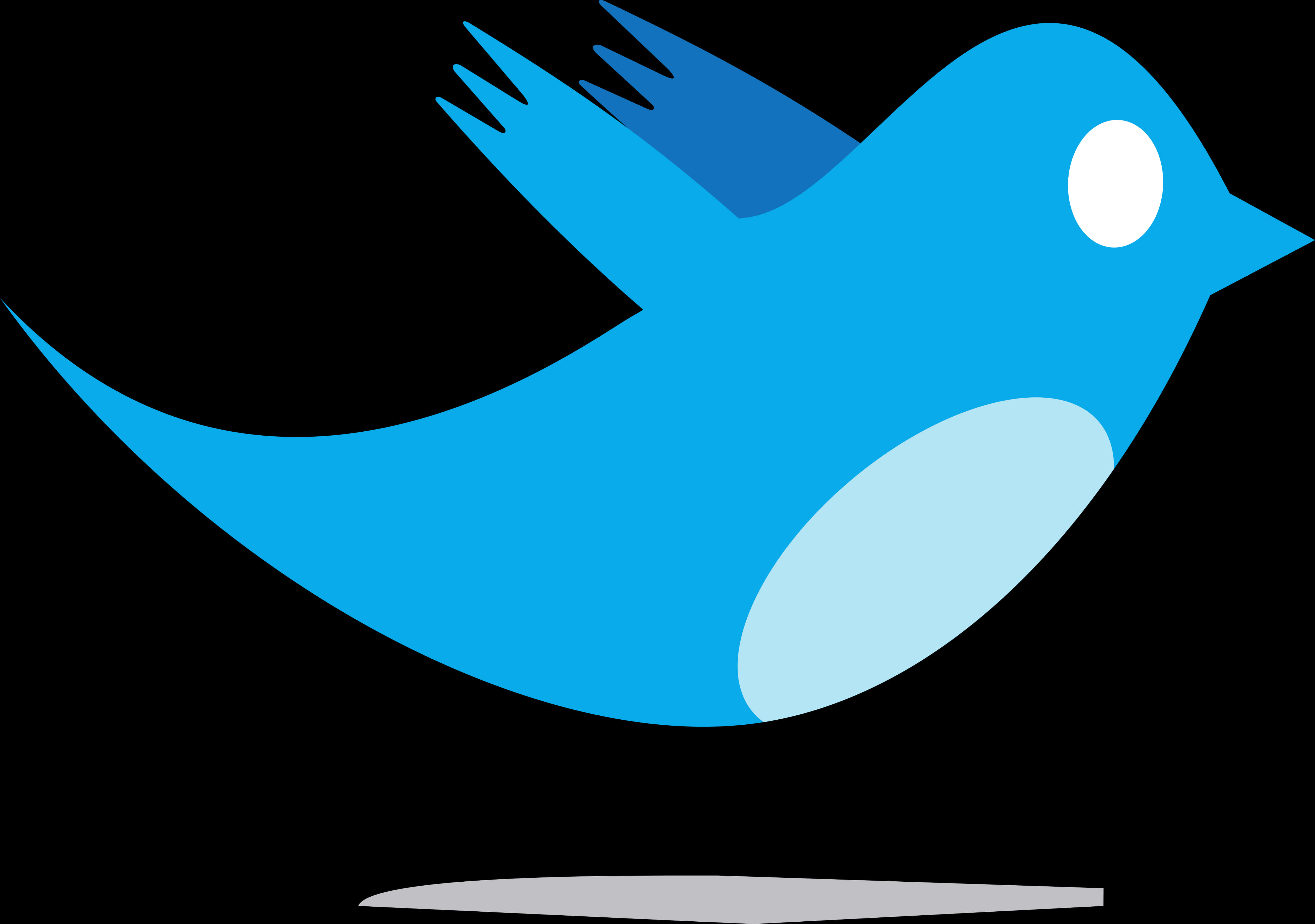 Twitter Logo Blue Bird PNG with transparent background