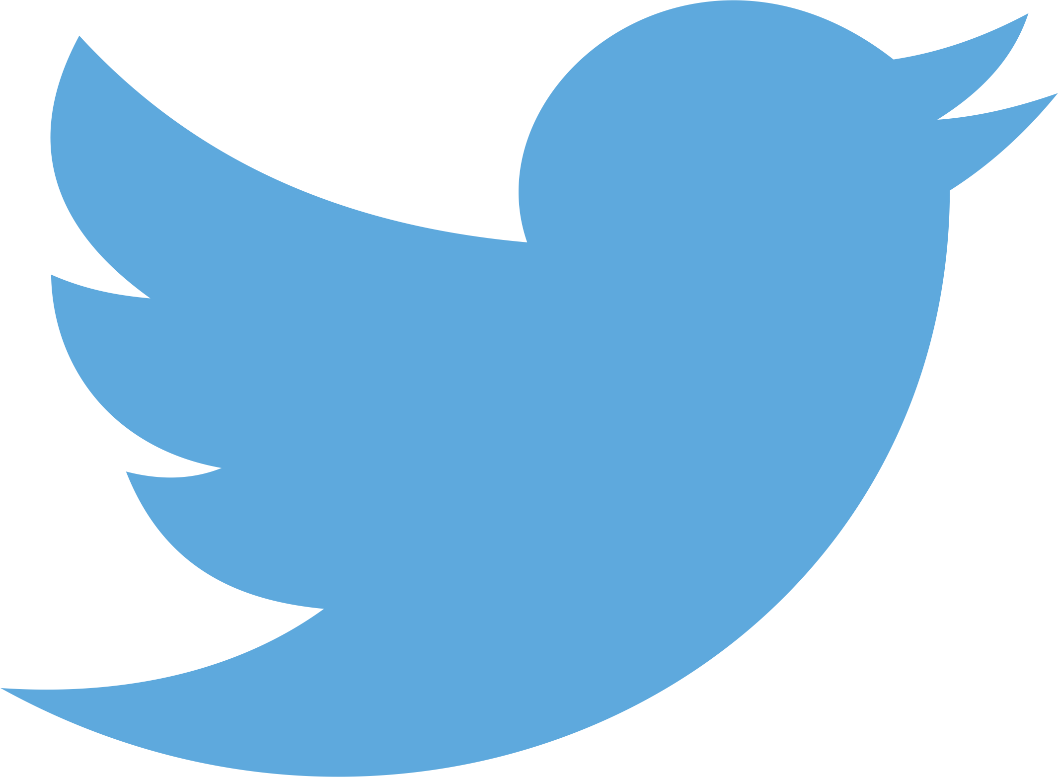 Twitter Logo Blue Bird