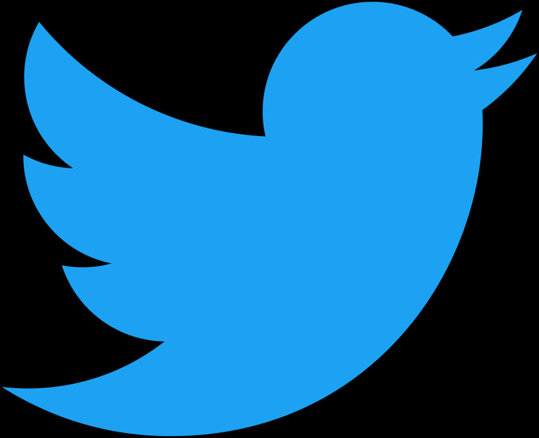 Twitter Logo Blue Bird PNG with transparent background