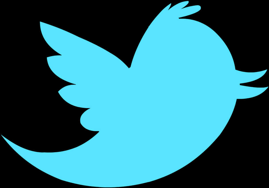 Twitter Logo Blue Bird PNG with transparent background