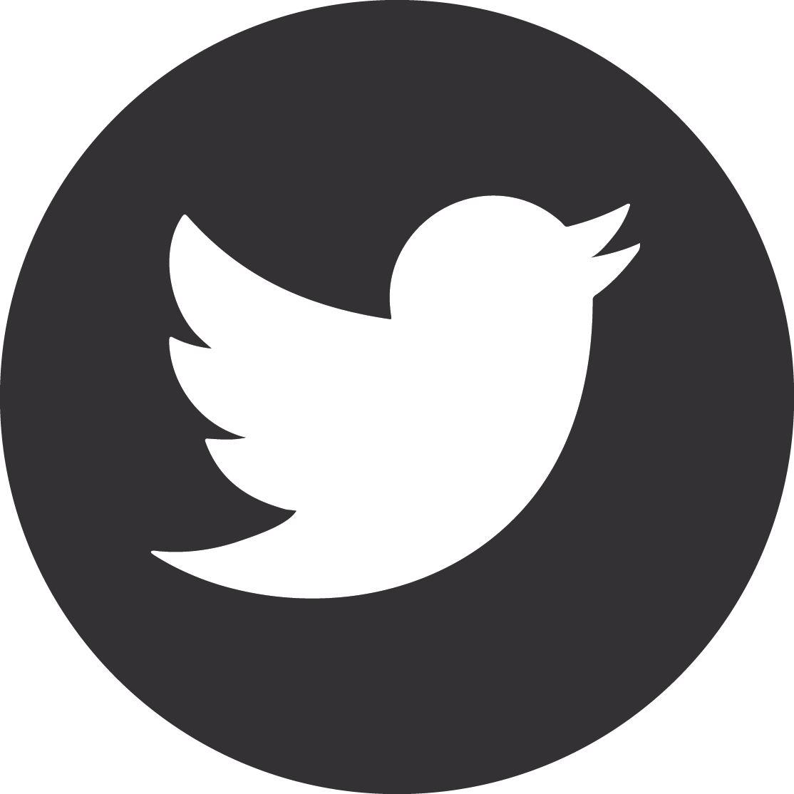 Twitter Logo Icon