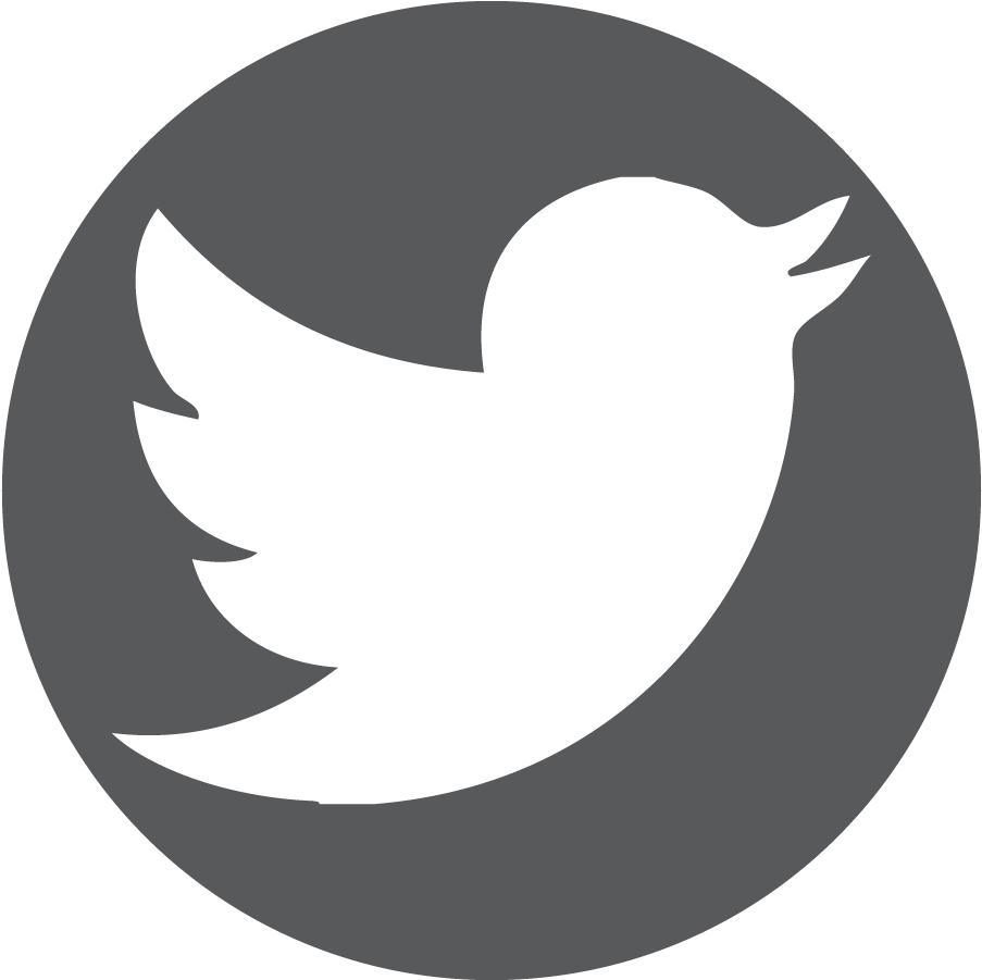 Twitter Logo Icon