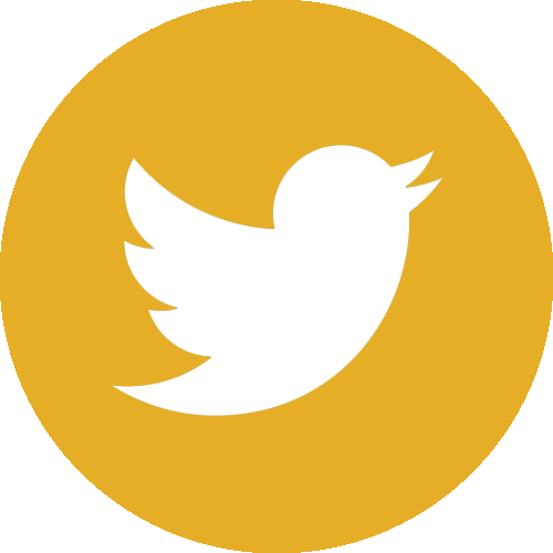 Twitter Logo Icon