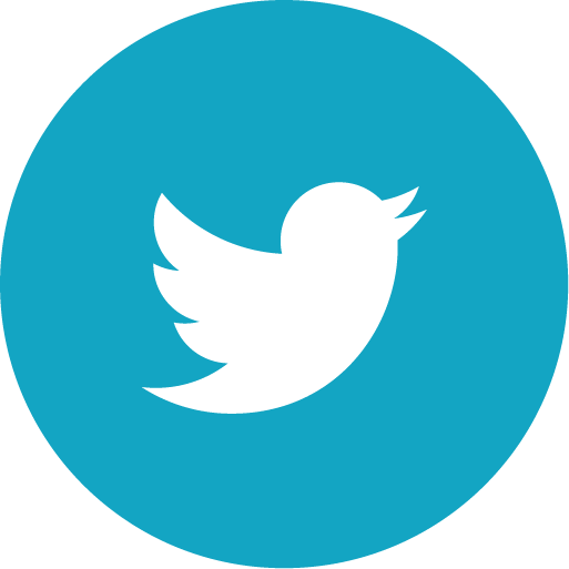 Twitter Logo Icon