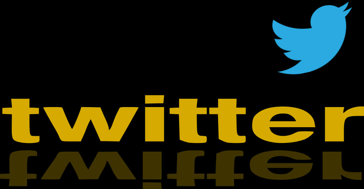 Twitter Logo Reflection PNG with transparent background