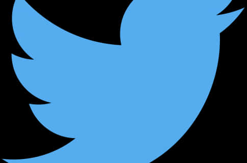 Twitter Logo Silhouette PNG with transparent background