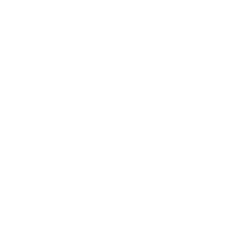 Twitter Logo Solid Color