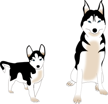 Two Cartoon Huskies Illustration PNG with transparent background