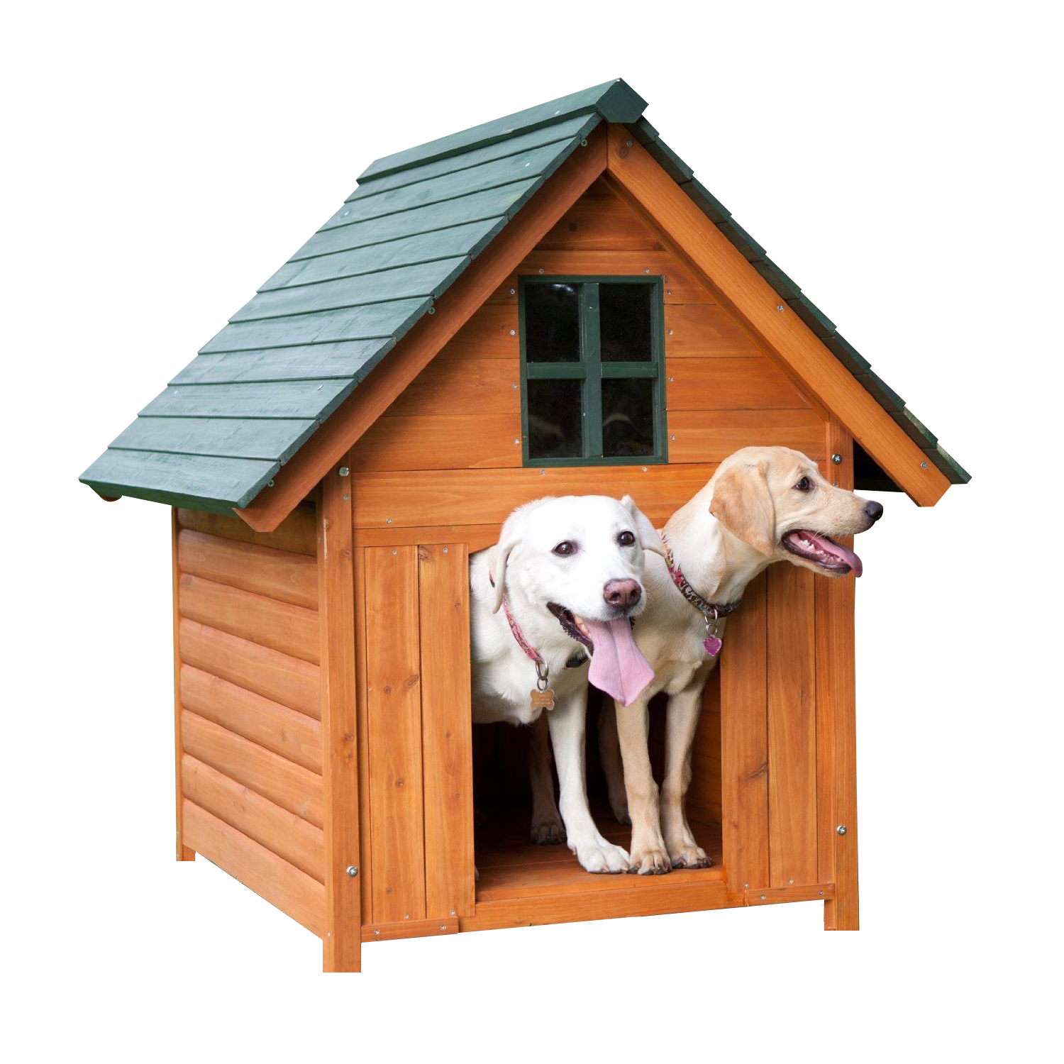 Two Dogsin Wooden House