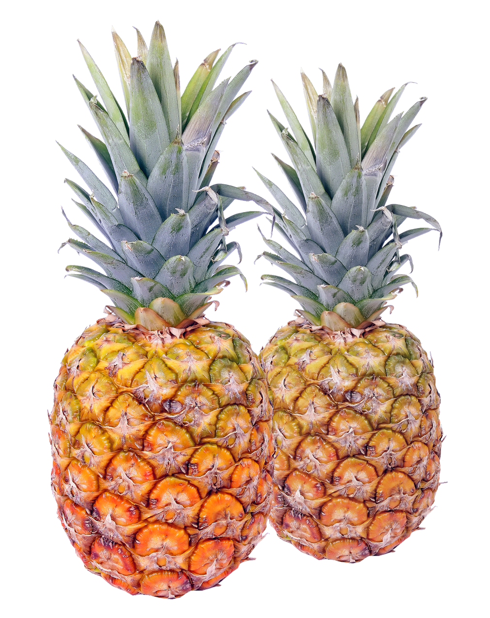 Two Fresh Pineapples Isolated PNG with transparent background