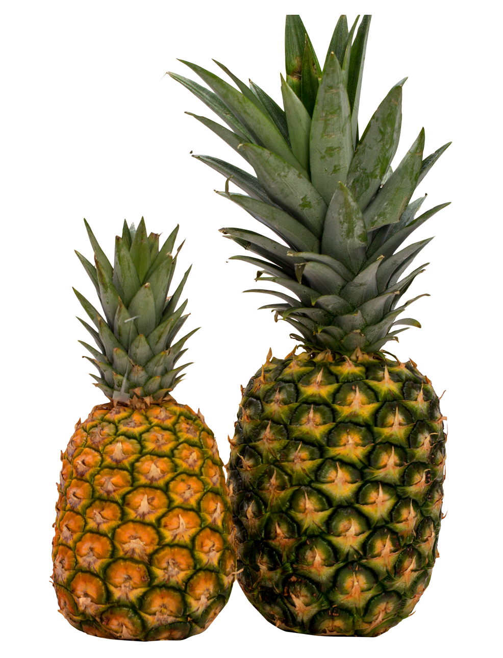 Two Pineapples Sideby Side PNG with transparent background