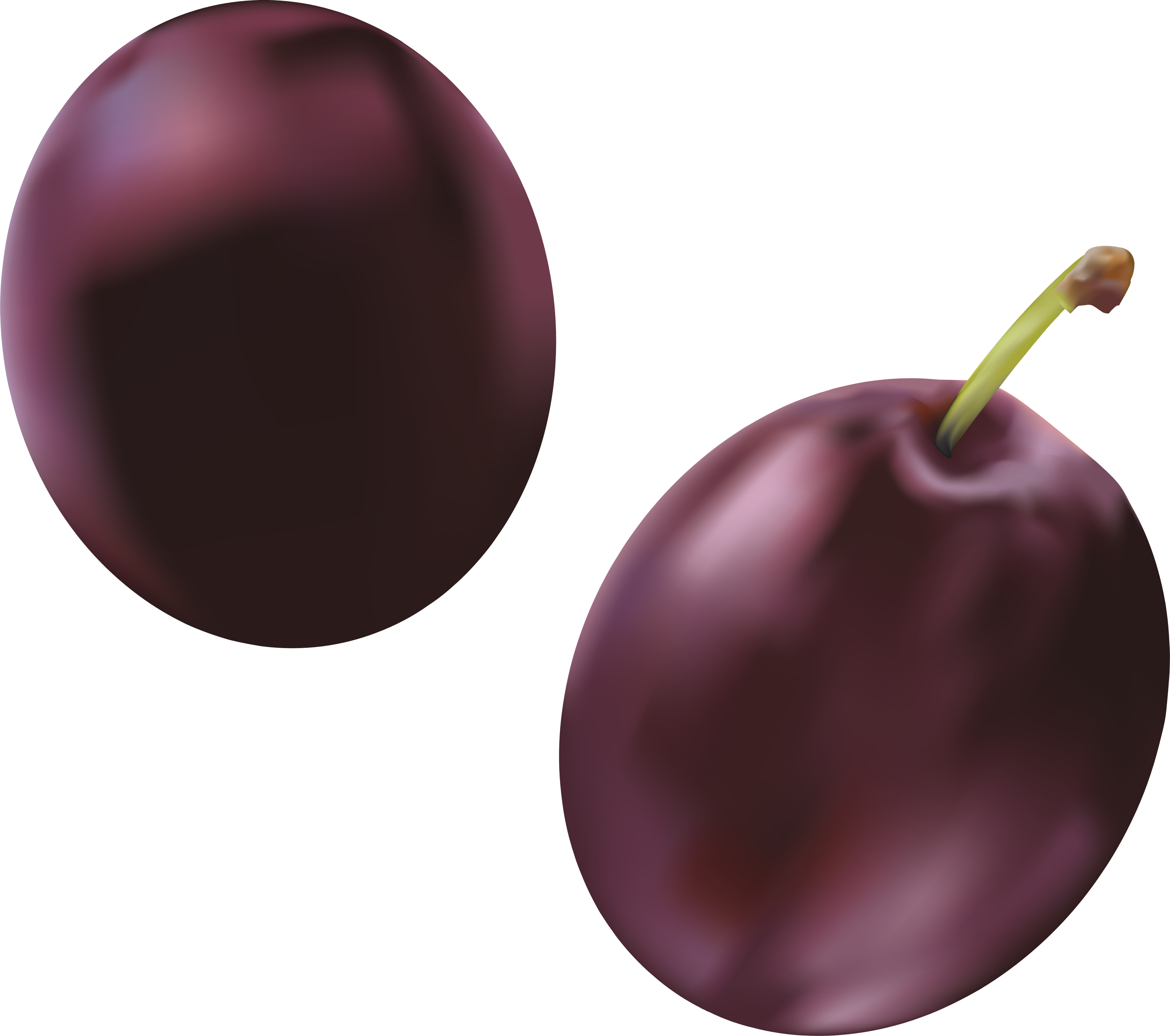 Two Plums Digital Artwork